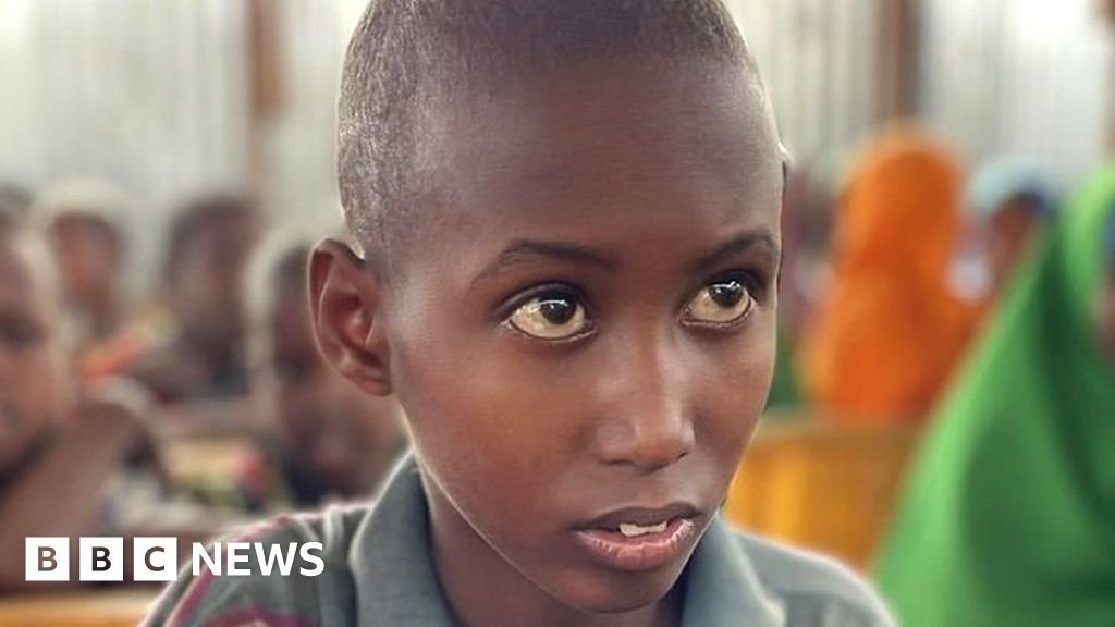 Somalia drought: One boy's fight to save his family from starvation