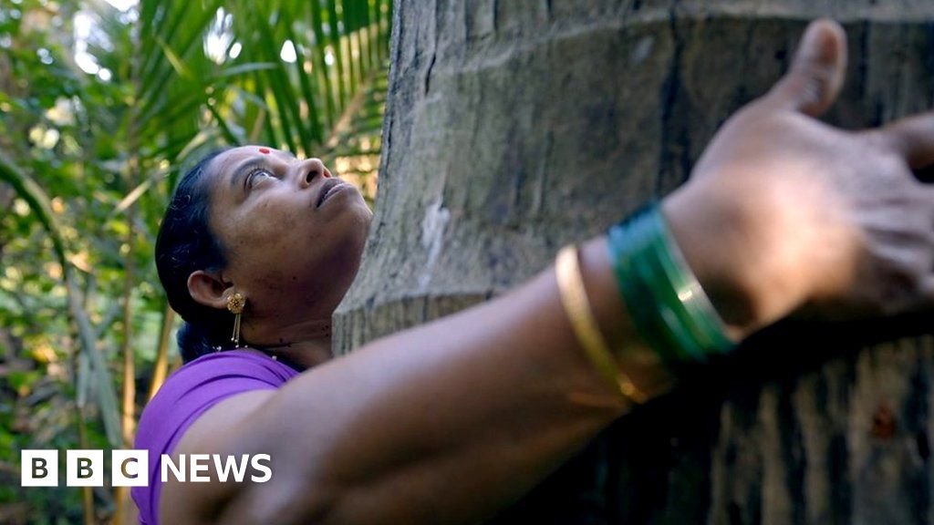 The woman fighting to save Mumbai's forest