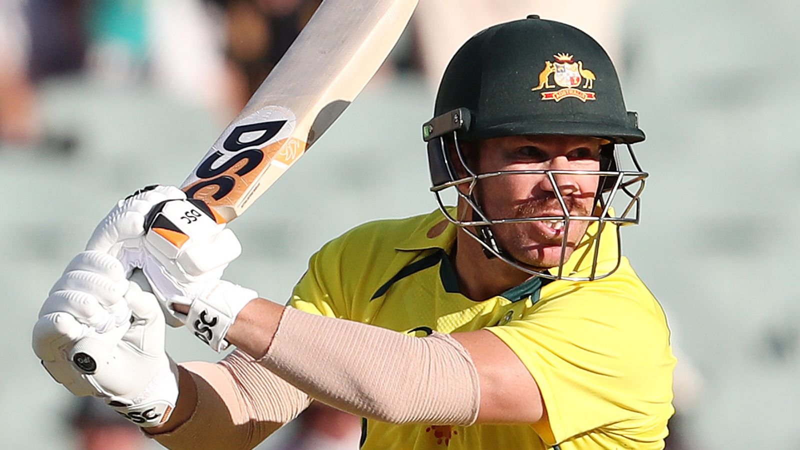 David Warner