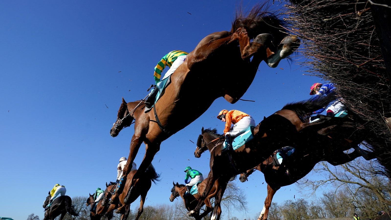 Horses clear a fence at a sunny Uttoxeter