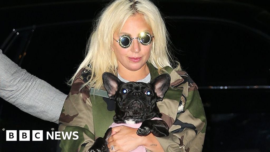 Lady Gaga dog walker shot: Gunman gets 21-year prison sentence