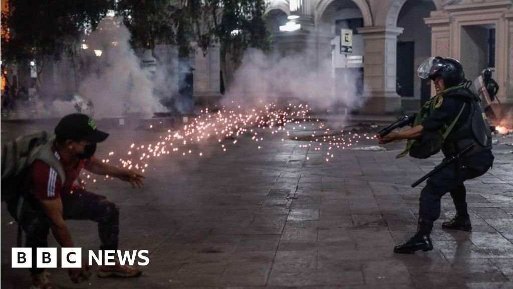 Peru's new leader proposes early election amid protests