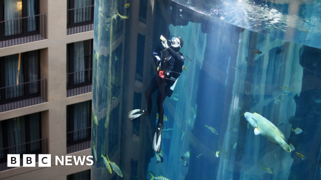 Berlin's giant AquaDom aquarium containing 1,500 fish explodes