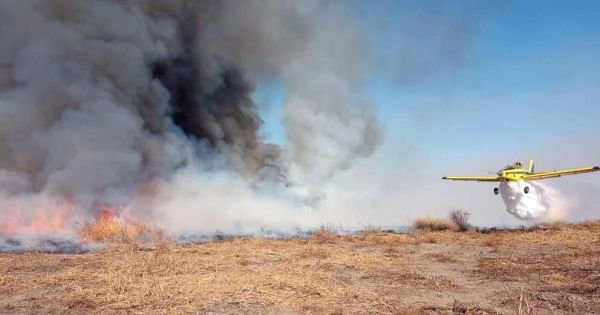 Environmental emergency decreed in Argentina's Tierra del Fuego due to forest fires