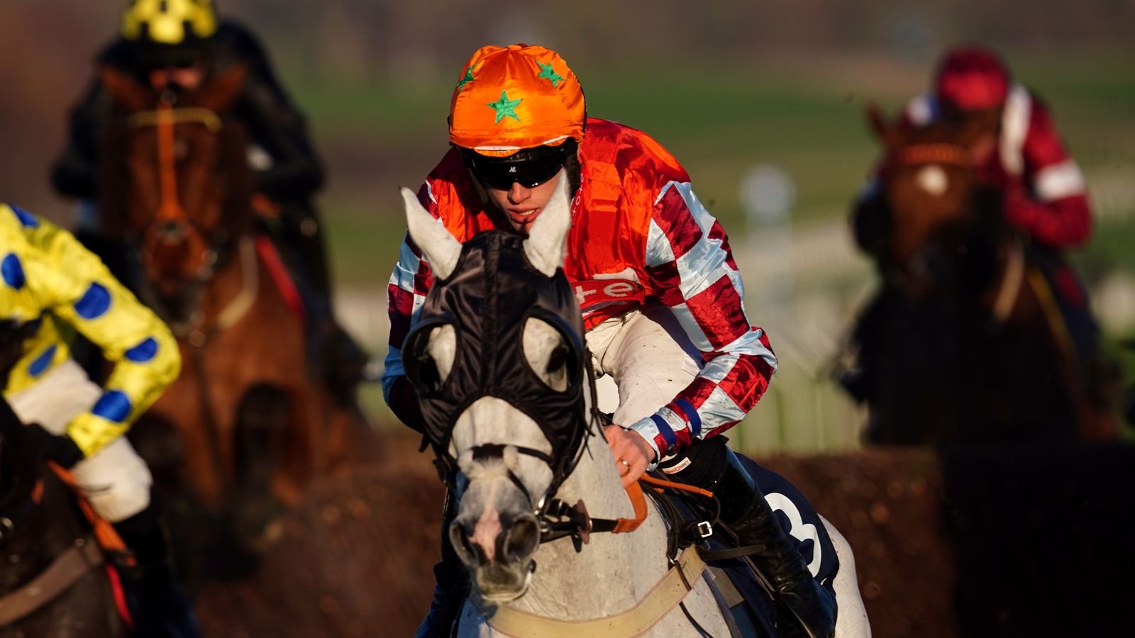 Eva's Oskar stayed on better than Spiritofthegames at Cheltenham