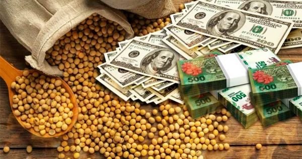 “Soybean dollar 2” working as planned for Argentine authorities