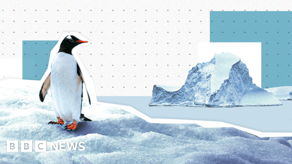 Antarctica sea-ice hits new record low