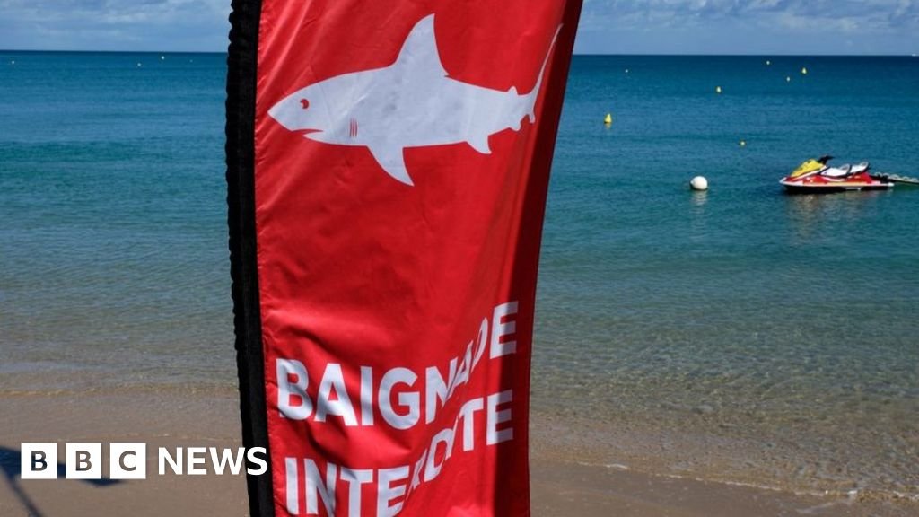 Australian man killed by shark at popular beach in New Caledonia