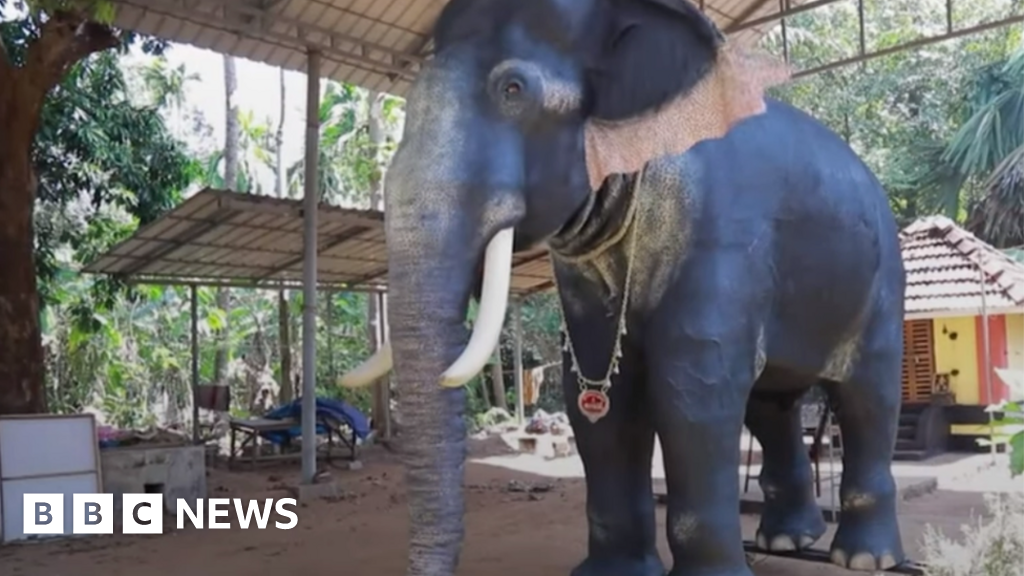 Kerala: India temple replaces elephant with robot for rituals