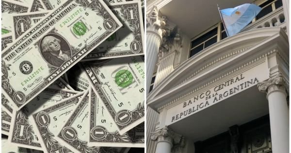 Argentina's reserves wane as “official” dollar rises