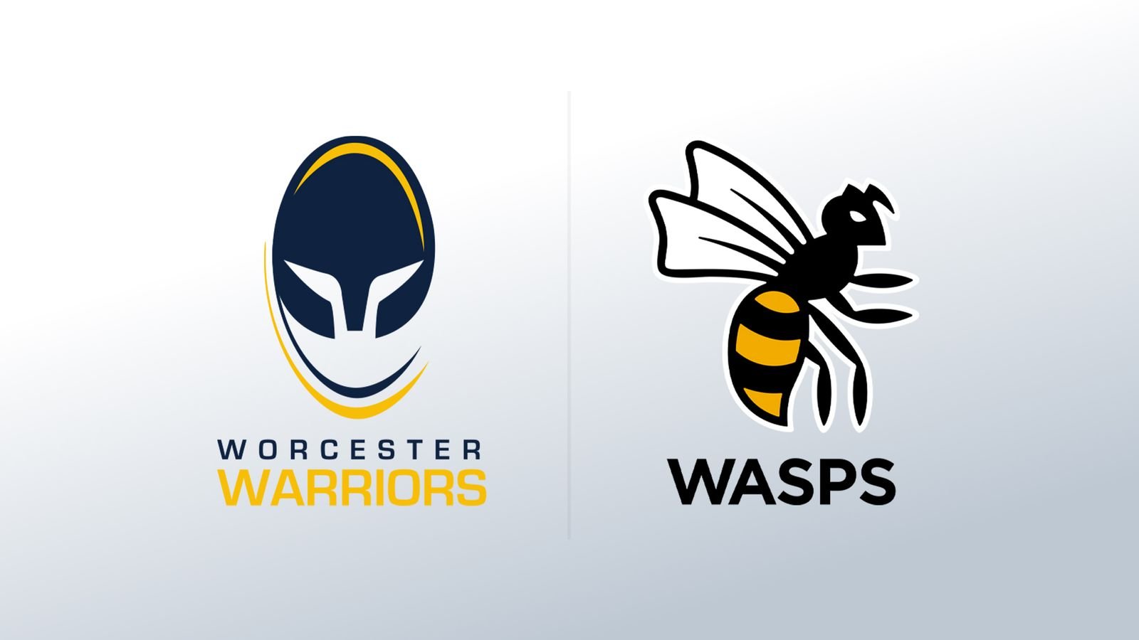 Wasps will play in Championship next season but no place for Worcester Warriors