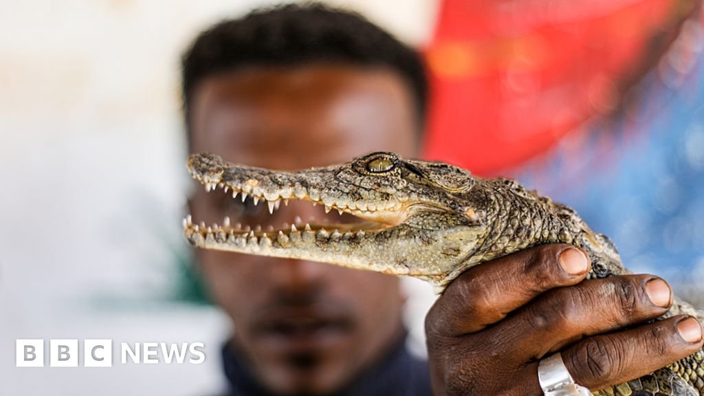 Africa's week in pictures: 24 February-2 March 2023