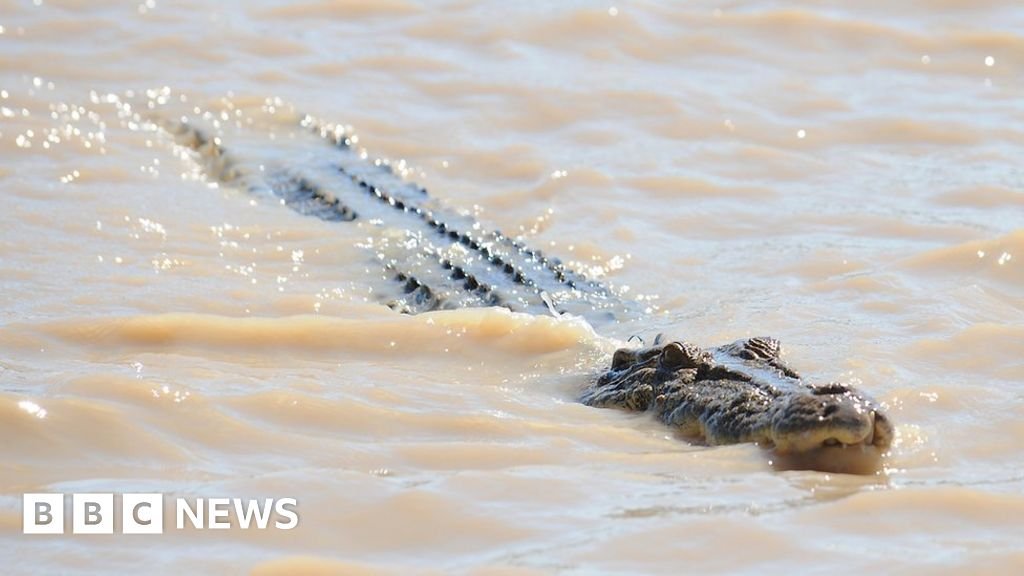 Australia floods: Teenager bitten by crocodile as army sent to help remote areas