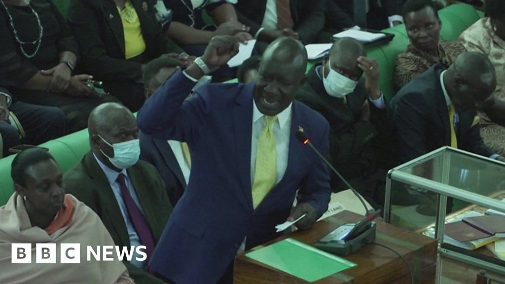 Cheers and applause as Uganda passes anti-gay bill