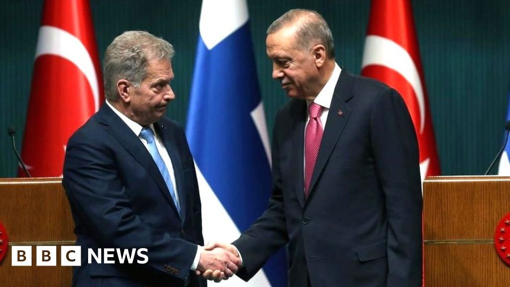 Turkey approves Finland Nato membership bid