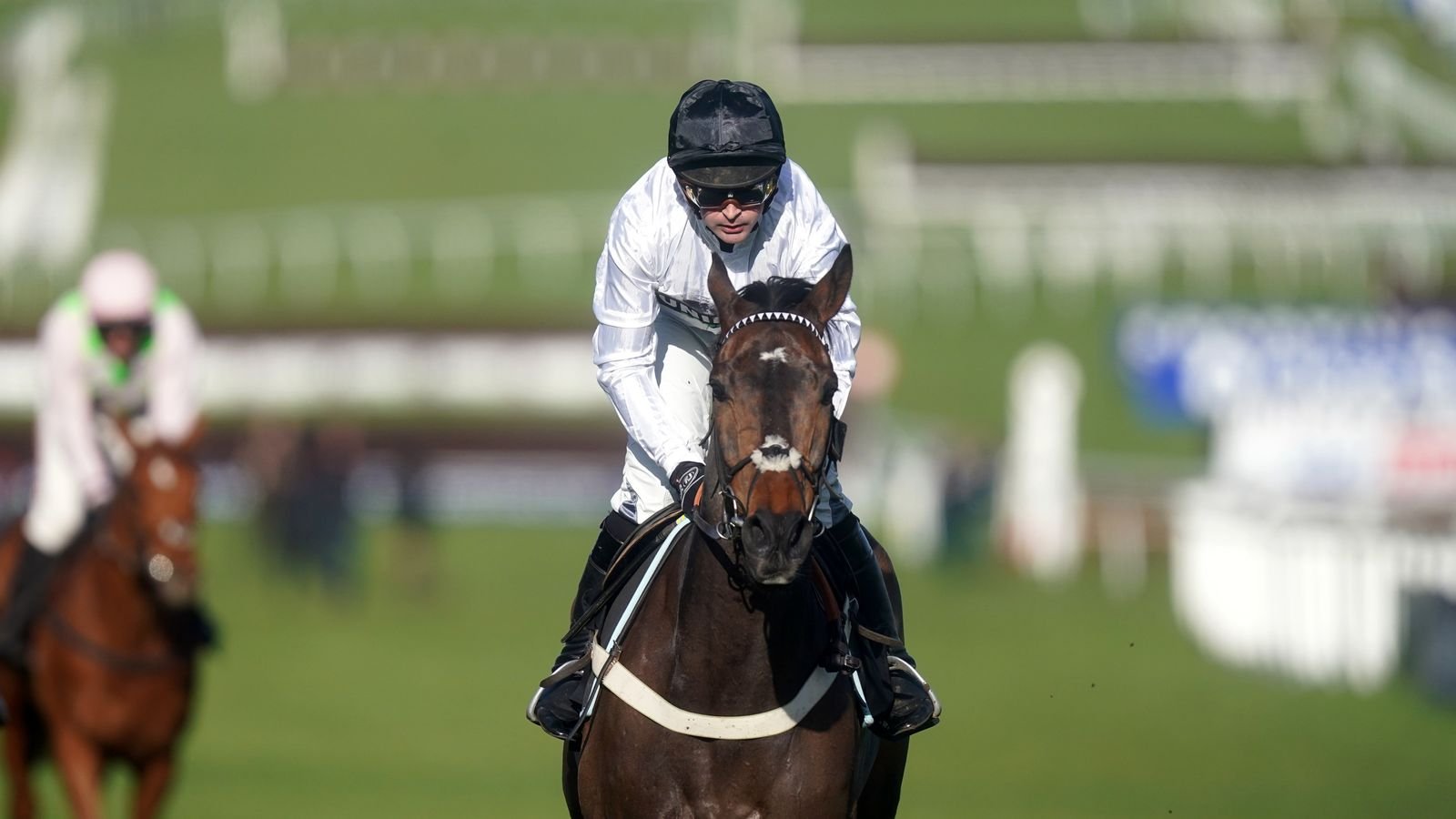 Nico de Boinville and Constitution Hill ease to victory in the Champion Hurdle