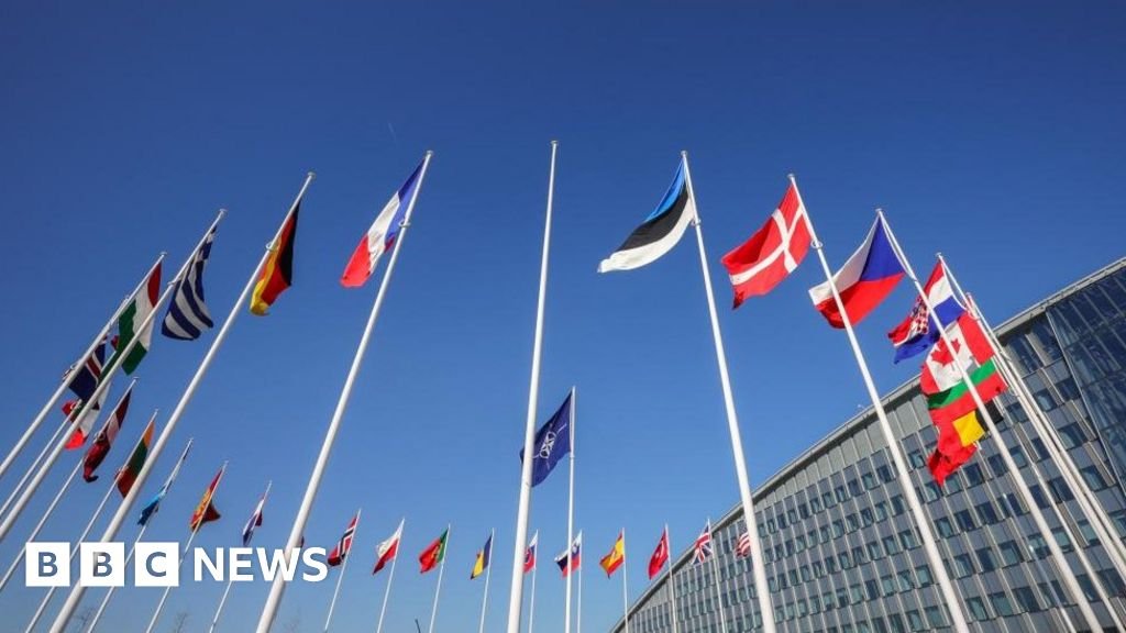 Nato gathers to welcome Finland as 31st member