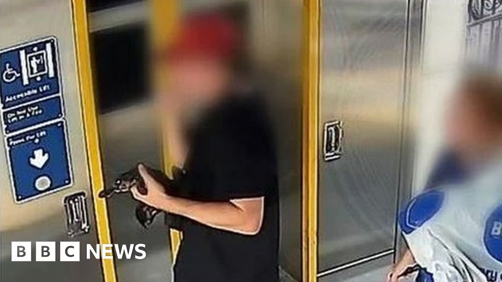 Platypus taken on train sparks Australia police hunt