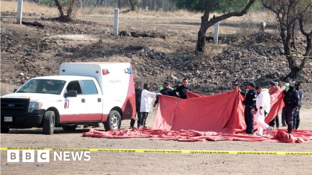 Mexico hot air balloon: Pilot charged over deadly crash