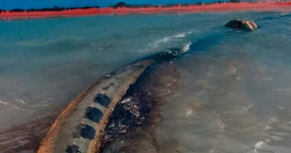 Argentina: New oil spill recorded off Bahía Blanca