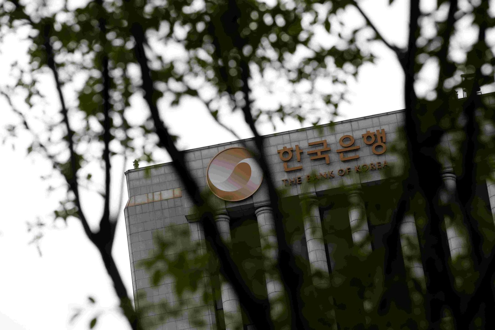 Bank of Korea considering forward guidance overhaul  | Reuters News Agency